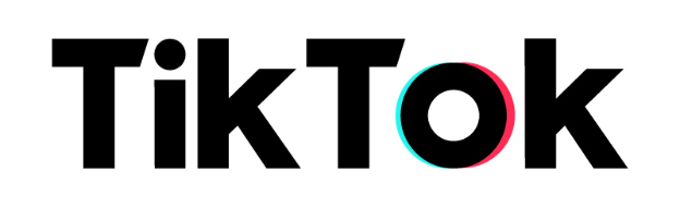 Full Color TikTok Logo Font Image - Horizontal