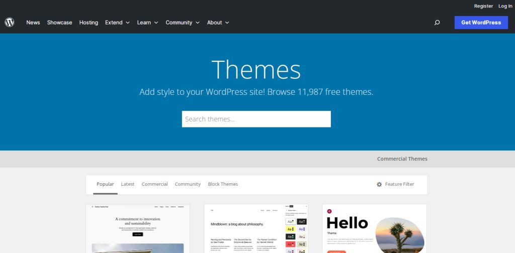 WordPress Theme