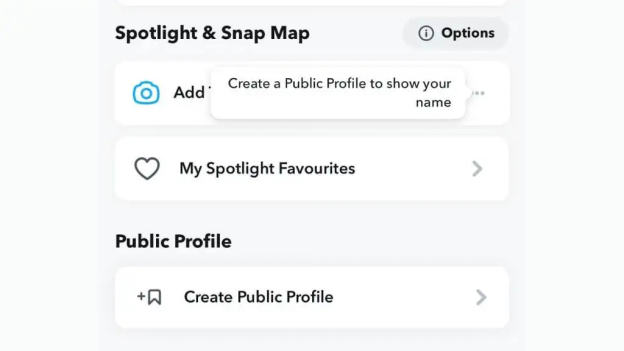 Public Profile on Snapchat