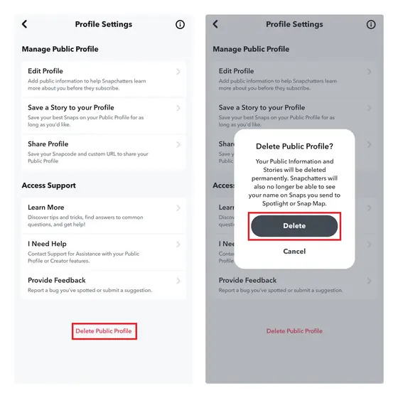 Delete Public Profile Snapchat